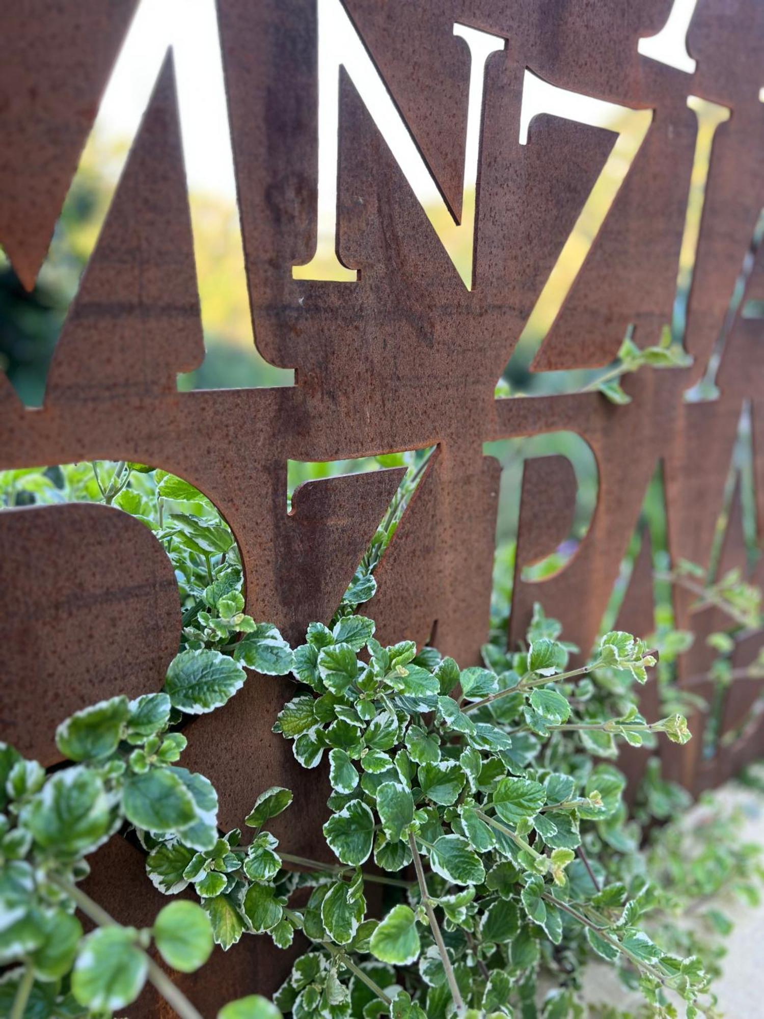 Tenuta Zamparina Montignoso Dış mekan fotoğraf